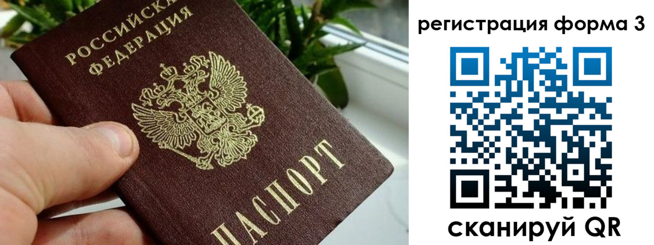 прописка штамп в Каргополе